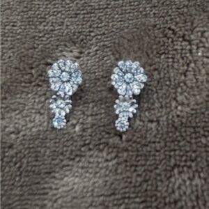 Dazzling Silver Floral Drop Earrings